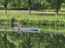 Mainschwimmen Juni 2026